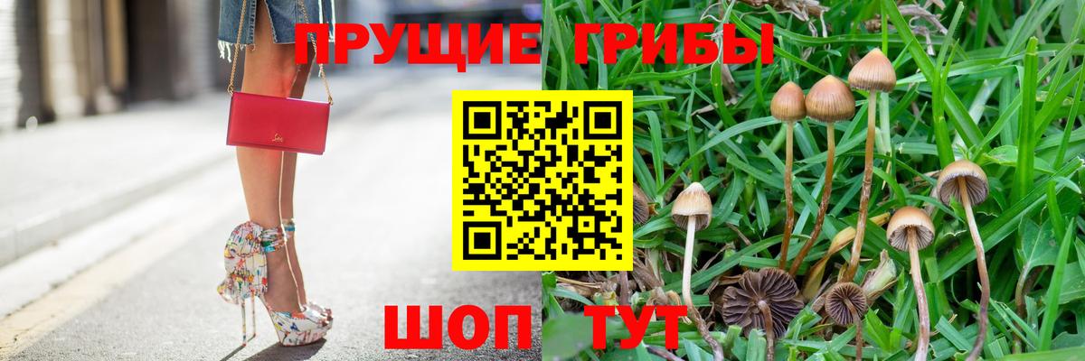 Псилоцибиновые грибы мицелий  продажа наркотиков  Сызрань  Вход с VPN 