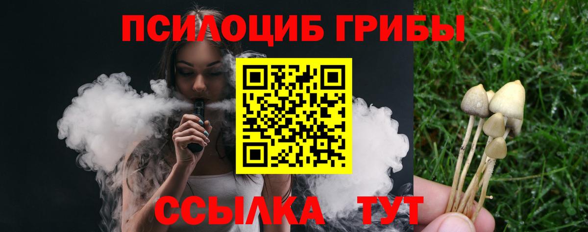 Галлюциногенные грибы Cubensis Сызрань